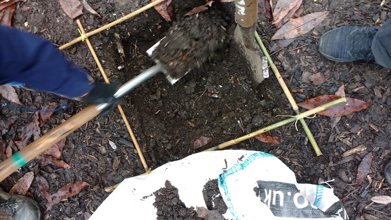 Worm Counts: 3 locations in a forest garden 