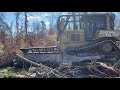 LAND CLEARING... Cat D7H with V Blade.... making Pasture