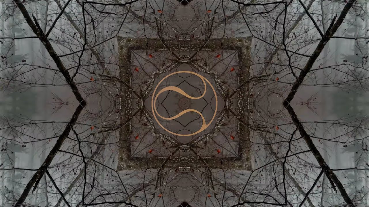 Watch DEKEL - Bear Line on YouTube Watch DEKEL - Bear Line on YouTube