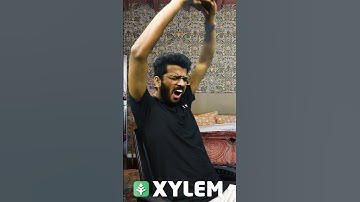 Verbs of the day 🤗 | XYLEM Class 6