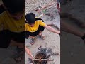 شیرازی محلی شاعر دکتر سجاد فرهمند محلی موزیک نی نوازی نی موزیک آرامبخش محلی عشایری