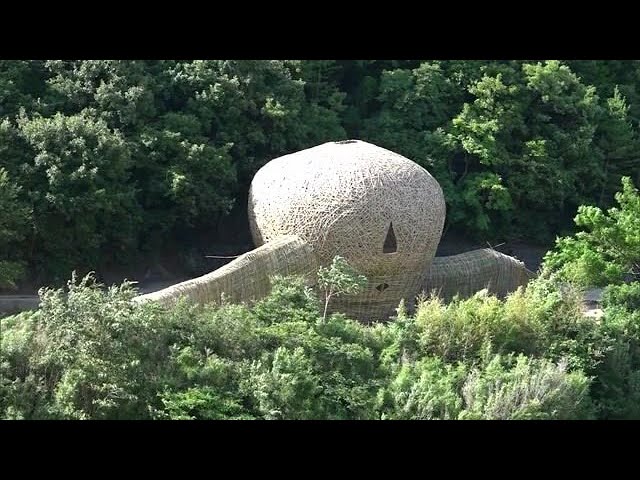 自然の木の根と竹のアート作品 花瓶 アート作品の中で寝転んでみる