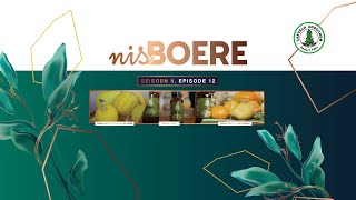 Nisboere 8 Episode 12