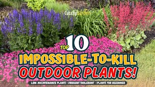 TOP 10 IMPOSSIBLETOKILL OUTDOOR PLANTS!  // Gardening Ideas