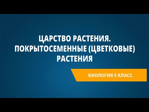 Царство Растения. Покрытосеменные (цветковые) растения