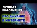 ЛУЧШАЯ ИНФОРМАЦИЯ ПРО ДЫХАНИЕ В ИНТЕРНЕТЕ