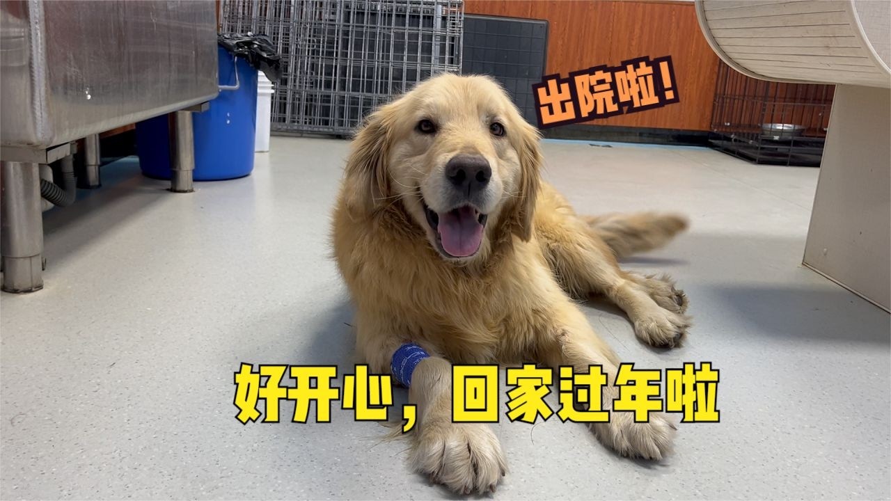 接果果回家過年！感恩一路相伴，果果順利出院，終於可以回家團圓