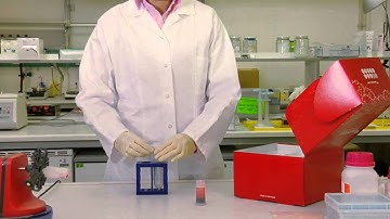 pluriBead - simple cell isolation directly from whole blood