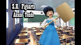 Ranma 1/2 - S.H. Figuarts - Akane Tendo Review