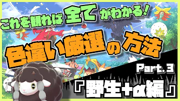 ポケモン剣盾 これを観れば全てがわかる 色違い厳選講座 色違いの基本 確率 エフェクト ブロックルーチン等編 1 ゆっくり実況 ゆっくり解説 Mp3