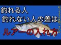 シーバス釣り初めての人や初心者の人に見て欲しい釣れるルアーの入れ方を分かりやすく解説。