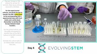 Evolving STEM Day 4
