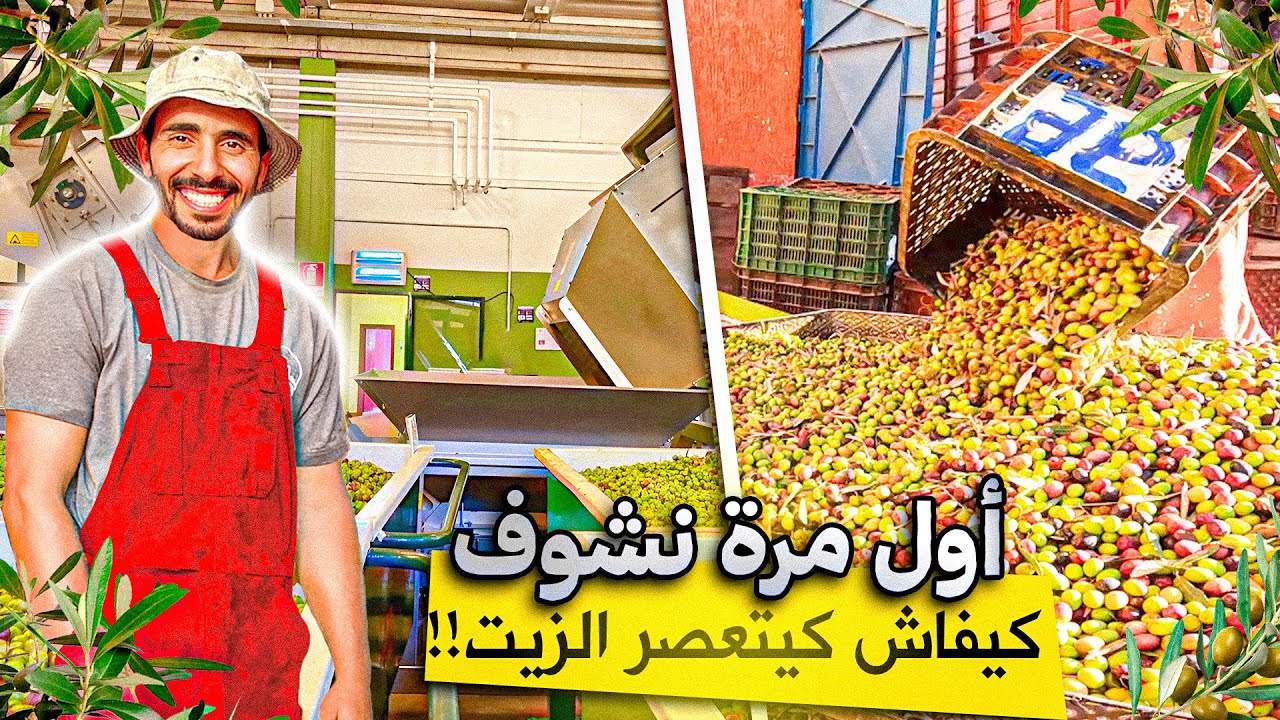 	أول مرة نشوف كيفاش كيعصروا زيت الزيتون🫒… الصدمة كانت كبيرة😱