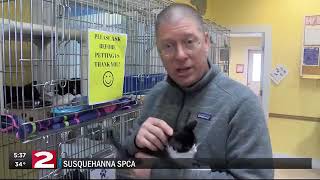 Susquehanna SPCA Capital Campaign