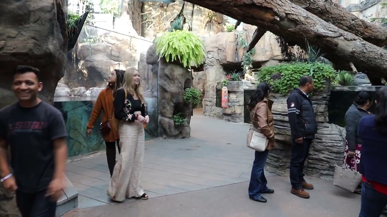 LUCINA EN AQUARIUM DENVER  6 DE OCTUBRE 2019.