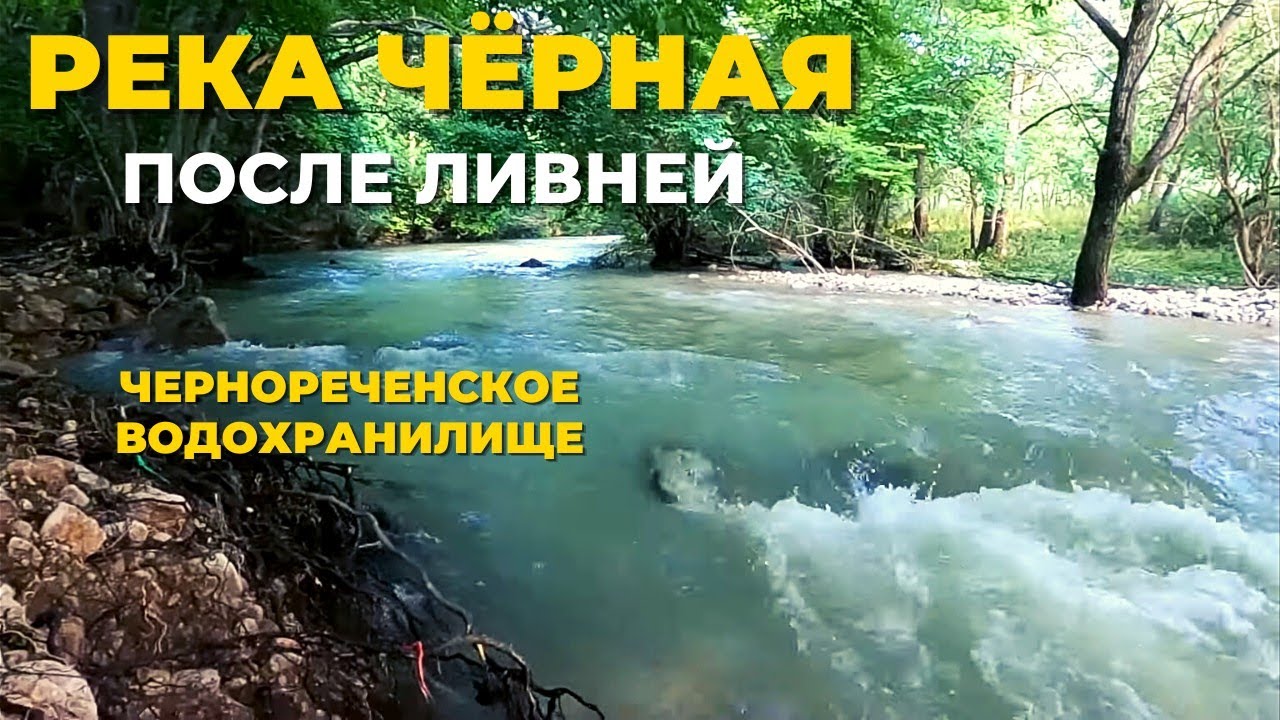Черная река машина времени