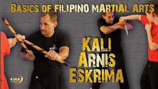 Basics of Filipino Martial Arts - Kali/Arnis/Eskrima