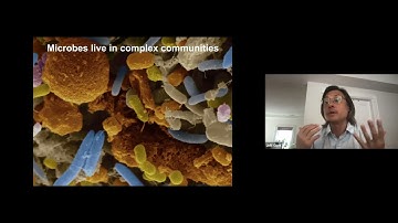 Jeff Gore: Emergent phases of diversity and dynamics in ecological communities