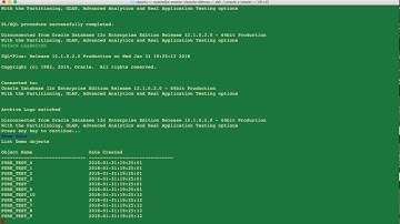 Oracle 12c Database Reset Demo