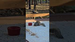 The Search Is On For Leftovers.