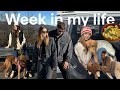 Week in my life Vlog: Holiday Edition