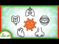 Why Does COVID-19 Have So Many Symptoms? - YouTube