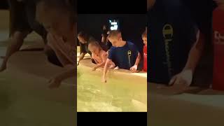 We Fed the Stingrays! (Daytona Aquarium)