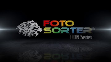 Pumpkin Seeds Color Sorter - AKY Technology