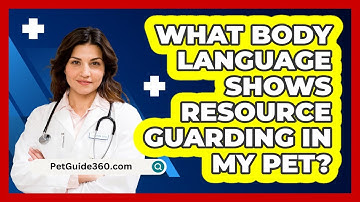 What Body Language Shows Resource Guarding In My Pet? - PetGuide360.com