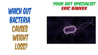 Which Gut Bacteria Causes Weight Loss?