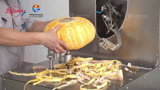 Own Factory R&D Thick-Skin Pumpkin Peeler Machine