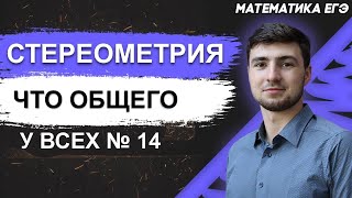 ЕГЭ Математика 2022 | Профильный уровень | Стереометрия | Что общего есть у всех 14 задач