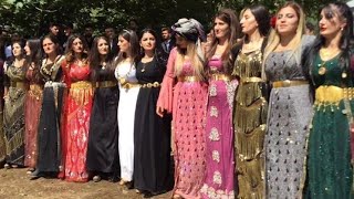 Ölmezler Ai̇lesi̇ni̇n Muhteşem Milane Halayi Semra & Ramazan Şi̇yar Berwari̇