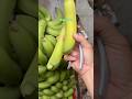 P hái chuối chín #pgardening #ptrongrausach #plamvuon