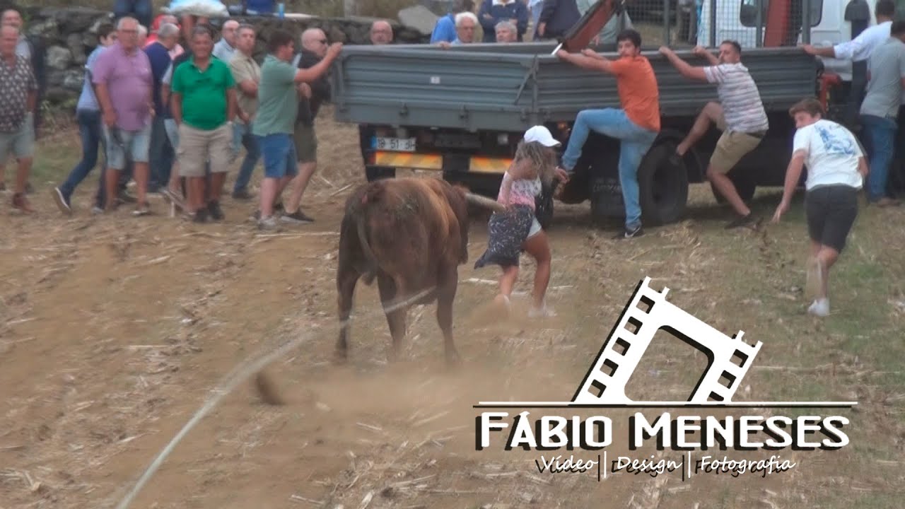 19set2023 - Tourada à Corda no PORTO MARTINS com a GANADARIA RB | Ilha Terceira-Açores