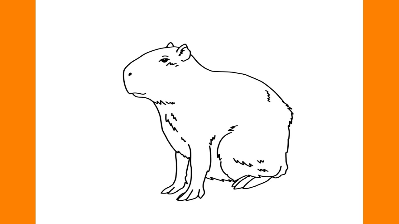 Como desenhar uma CAPIVARA passo a passo, FÁCIL e RÁPIDO (Como desenhar  Animais) 