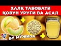 ДАҲШАТ! ХАР КУН ҚОВУН УРУҒИ БИЛАН АСАЛ ЕДИМ ВА МАНА НИМА БЎЛДИ...