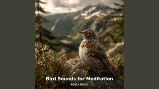 Bird Sounds for Meditation: Calm Nature Ambience, Pt.2