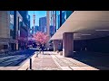 Japan walking tour Cherry blossom season in Tokyo