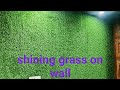 shining Green grass on wall