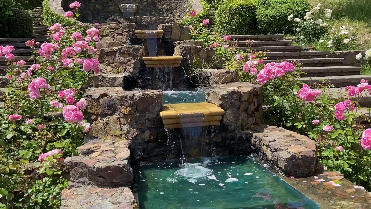 Amazing rose garden in Oakland, California YouTube