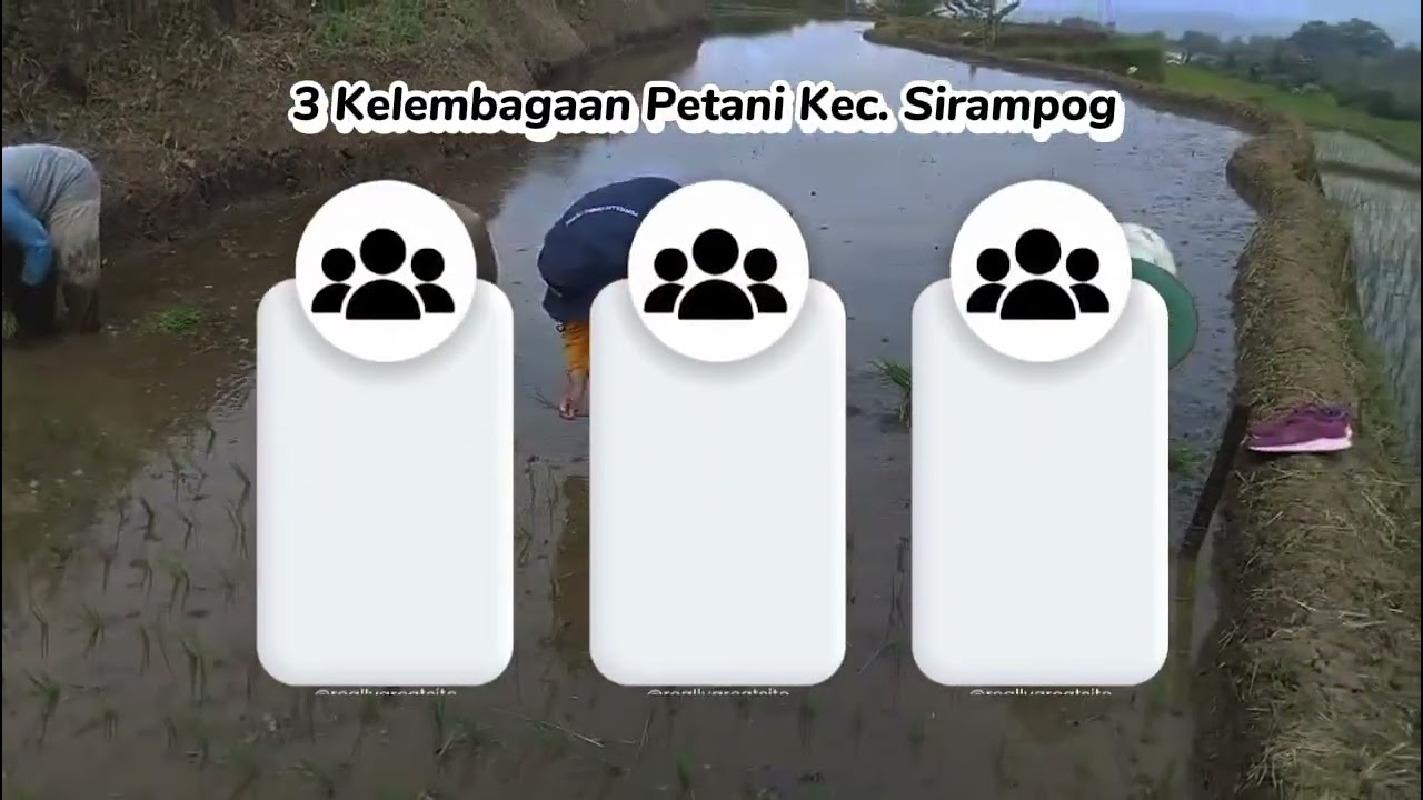 Profil Balai Penyuluhan Pertanian (BPP) kec Sirampog Brebes Jateng