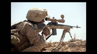 [Wikipedia] M25 Sniper Weapon System