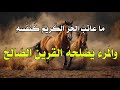 أبيات خالدة ما عاتب الحر الكريم كنفسه والمرء ي صل حه القرين الص الح ومضات من حكمة لبيد 