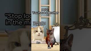 CAT MEMES 🐱 YOU HAVE A BROTHER #relatable #cat #funny #family #shorts