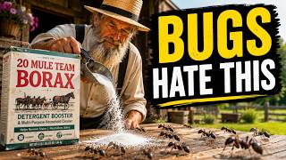 The Secret Amish Uses for Borax They Don't Want You to Know