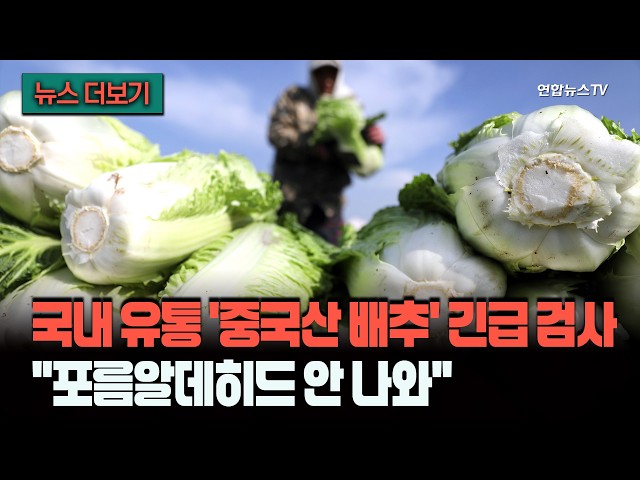 국내 유통 '중국산 배추' 긴급 검사…"포름알데히드 안 나와" [뉴스더보기] / 연합뉴스TV (YonhapnewsTV)