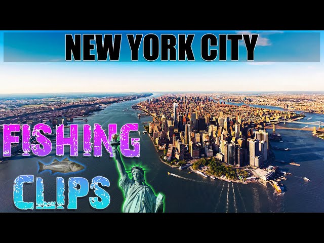 NEWYORK CITY SALTWATER FISHING - Fishing Clips 2020 