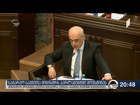 საგარეო საქმეთა მინისტრს პარლამენტში მოუსმინეს