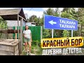 🇰🇿 ТАЛКАРА (КРАСНЫЙ БОР), Аккольский район | Путешествие в места ДЕТСТВА | Казахстан, июль 2022